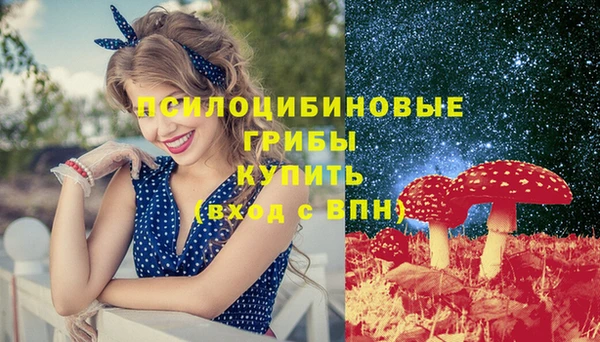PSILOCYBIN Балахна